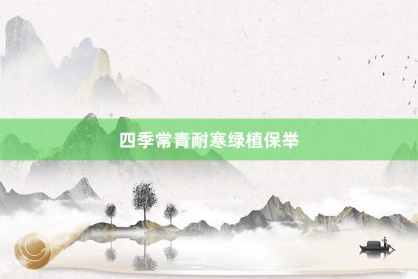 四季常青耐寒绿植保举