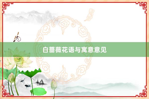 白蔷薇花语与寓意意见